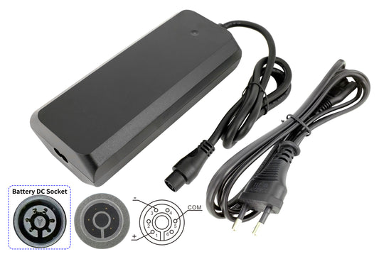 48V 3A / 36V 4A Fast Charger for 48V/36V Li-ion battery Ebike Battery Prophete (ZZ131304) with AEG Drive